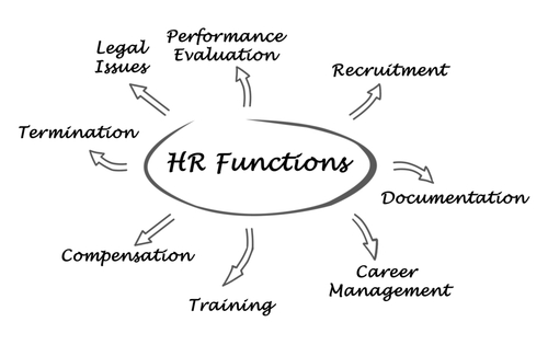 what-are-typical-hr-functions-netpeo